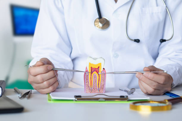 Best Urgent Tooth Repair  in West Point, GA